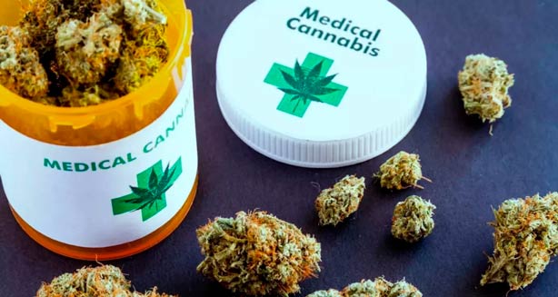 Relanzan el Programa de Cannabis Medicinal