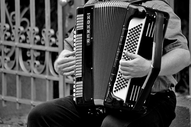 accordion-1466482_640