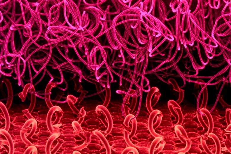 4ab0507252379be661072c8fe0f9634848-01-velcro.2x.h473