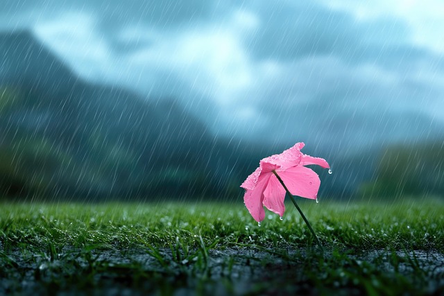 Qué es el despertar de la conciencia?