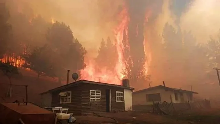 Cómo podemos colaborar con quienes están viviendo  los incendios